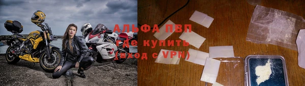 стафф Арсеньев