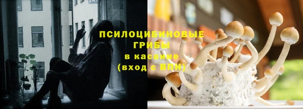 стафф Арсеньев