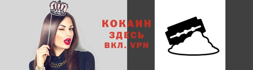 крисы Новозыбков