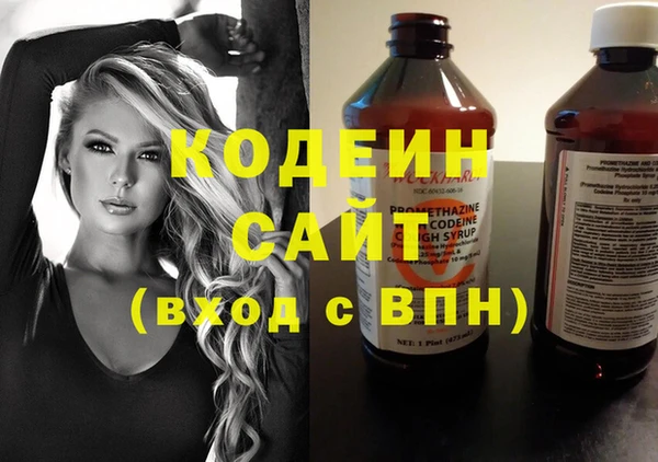 крисы Новозыбков