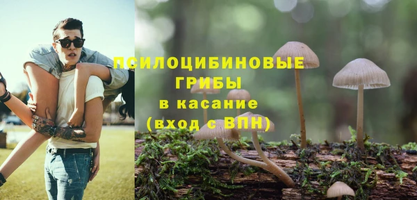 таблы Аркадак
