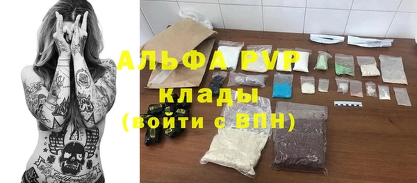 стафф Арсеньев